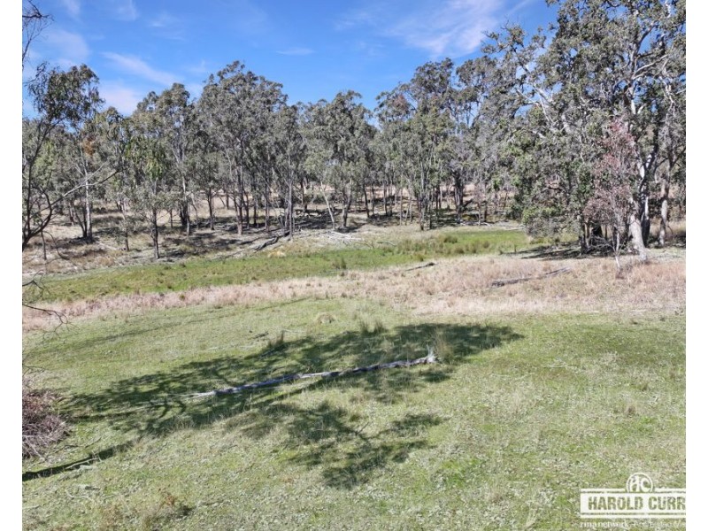 3a McCliftys Road, Bolivia via, Tenterfield NSW 2372