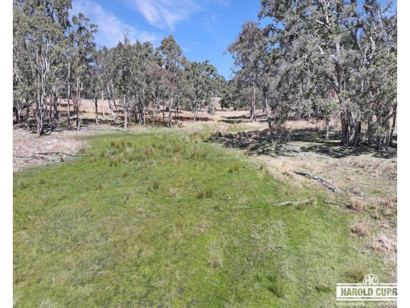 3a McCliftys Road, Bolivia via, Tenterfield NSW 2372