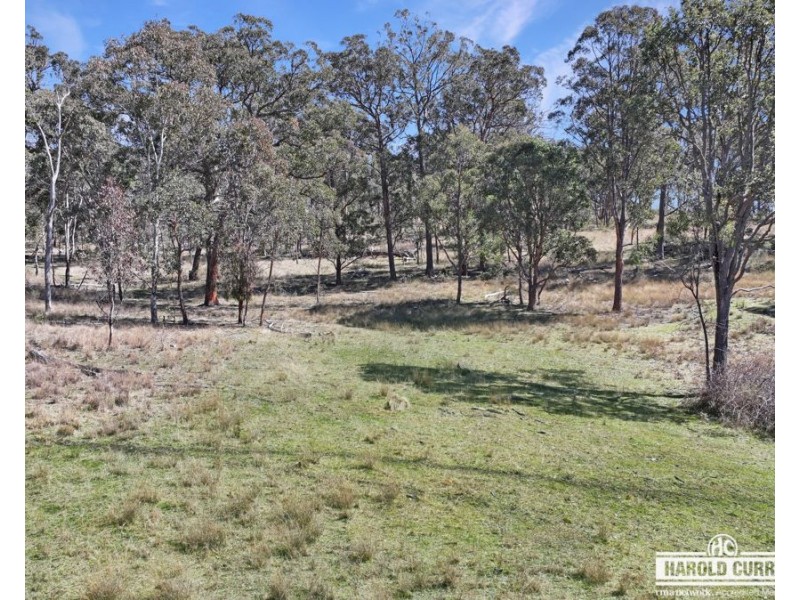 3a McCliftys Road, Bolivia via, Tenterfield NSW 2372