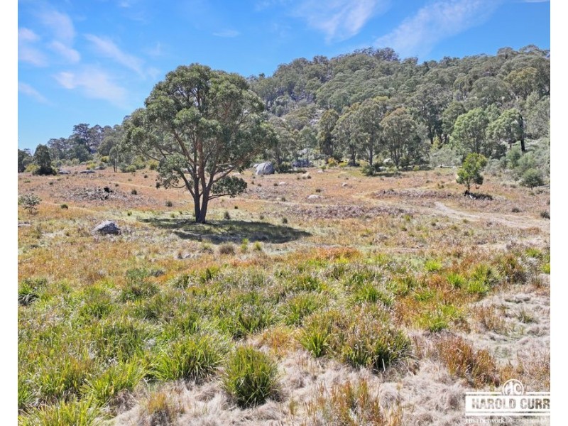 321 Gunyah Road, Tenterfield NSW 2372