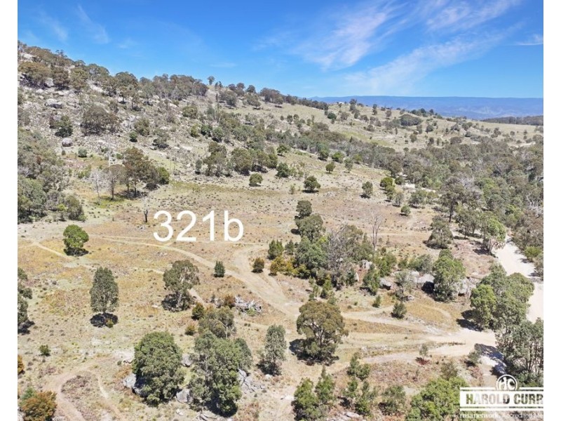 321 Gunyah Road, Tenterfield NSW 2372
