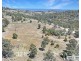 321 Gunyah Road, Tenterfield NSW 2372