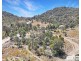 321 Gunyah Road, Tenterfield NSW 2372