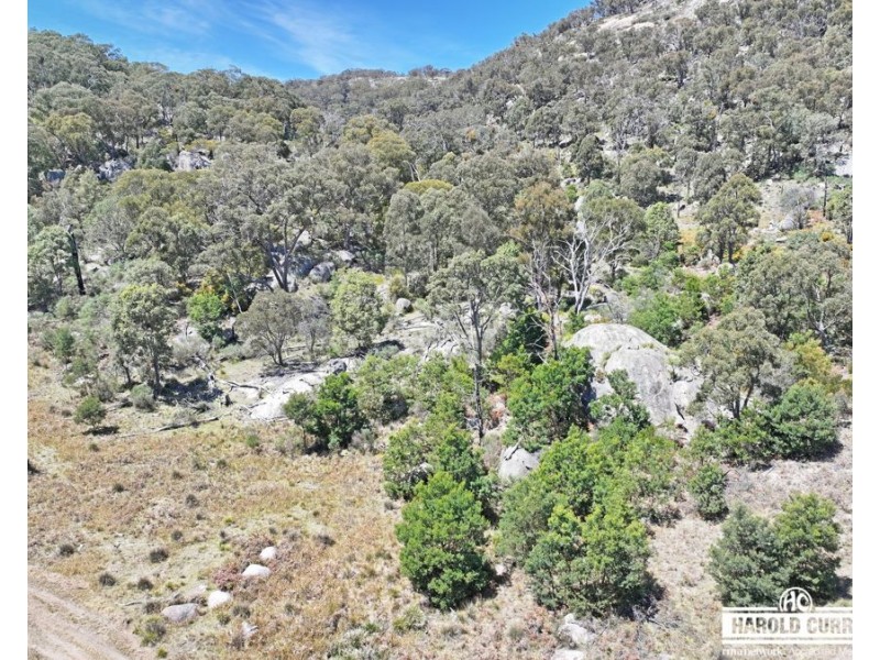 321 Gunyah Road, Tenterfield NSW 2372