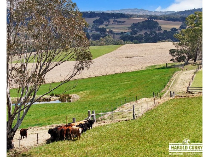 148 Scotts Gully Road, Sandy Flat via, Tenterfield NSW 2372