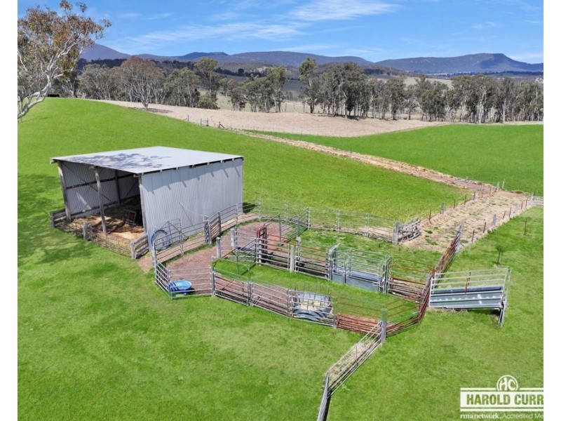 148 Scotts Gully Road, Sandy Flat via, Tenterfield NSW 2372