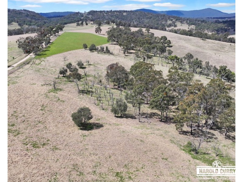 148 Scotts Gully Road, Sandy Flat via, Tenterfield NSW 2372