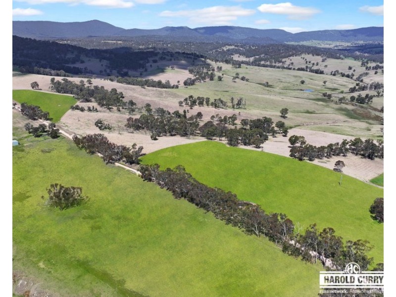 148 Scotts Gully Road, Sandy Flat via, Tenterfield NSW 2372