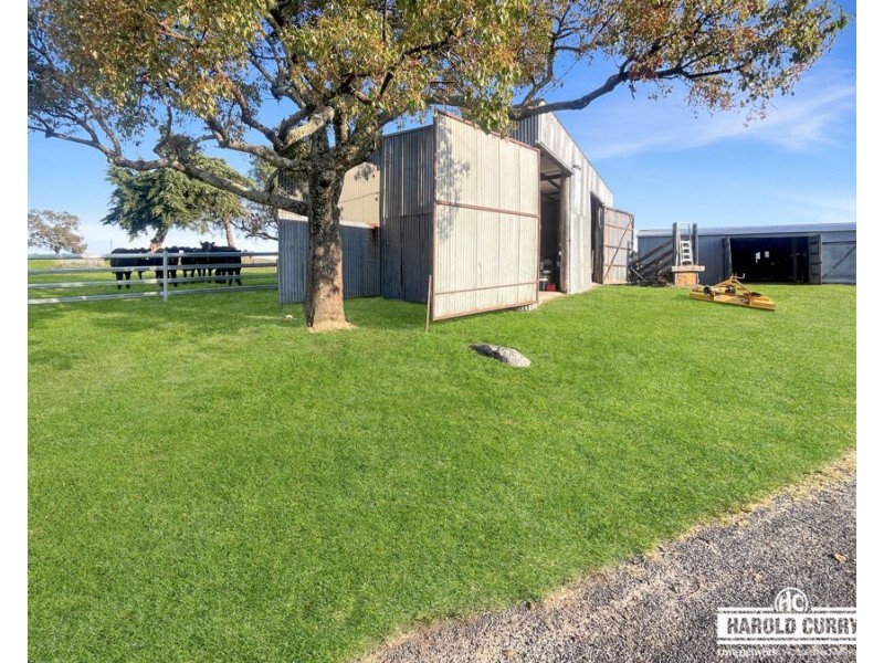132A Sunnyside Loop Road, Tenterfield NSW 2372