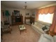 28 East Street, Tenterfield NSW 2372