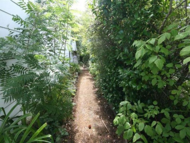 124 Rouse Street, Tenterfield NSW 2372