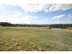 53 Four Mile Creek Road, Tenterfield NSW 2372