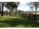 53 Four Mile Creek Road, Tenterfield NSW 2372