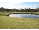 53 Four Mile Creek Road, Tenterfield NSW 2372