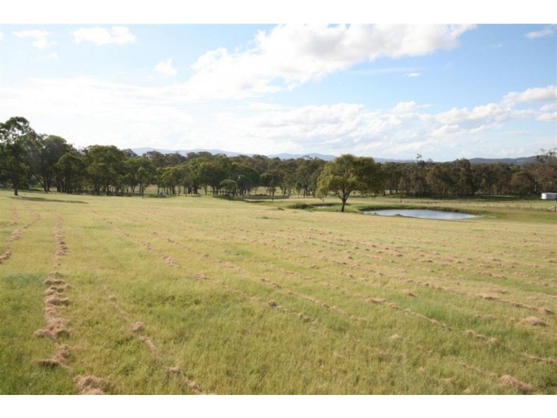 53 Four Mile Creek Road, Tenterfield NSW 2372