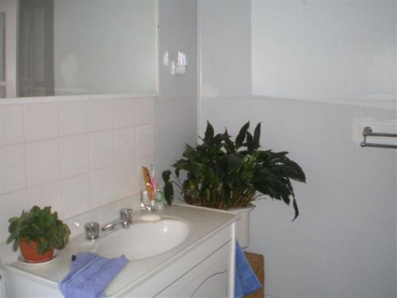 387 Rouse Street, Tenterfield NSW 2372
