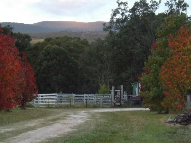 7063 New England Highway, Tenterfield NSW 2372