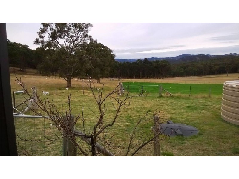7063 New England Highway, Tenterfield NSW 2372