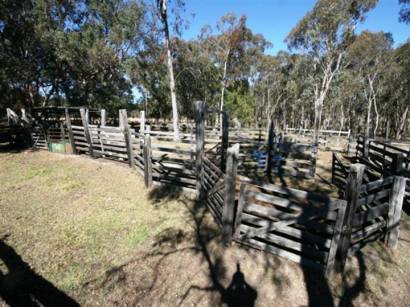 398 Brushabers Road, Jennings NSW 2372