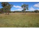 398 Brushabers Road, Jennings NSW 2372