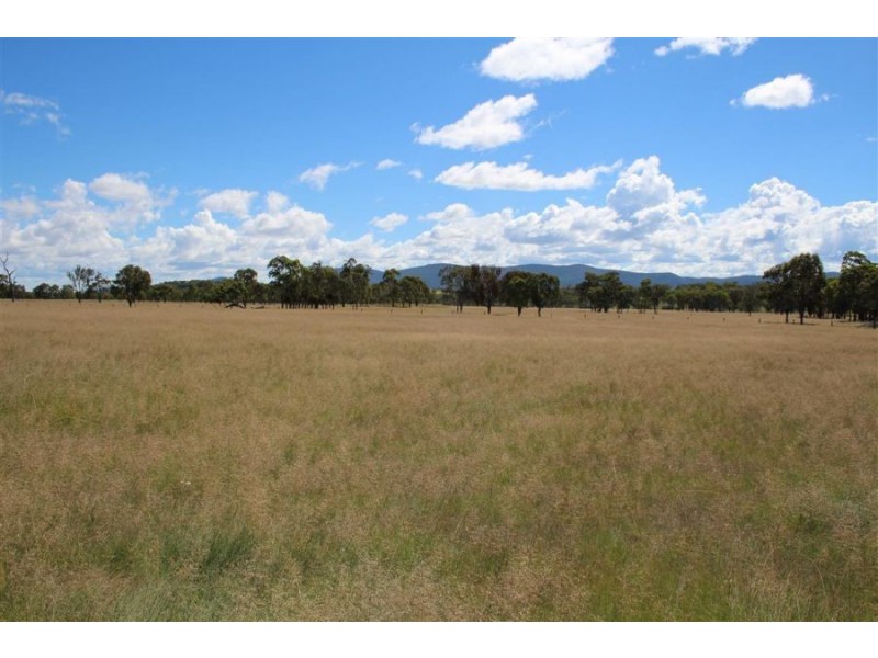 398 Brushabers Road, Tenterfield NSW 2372