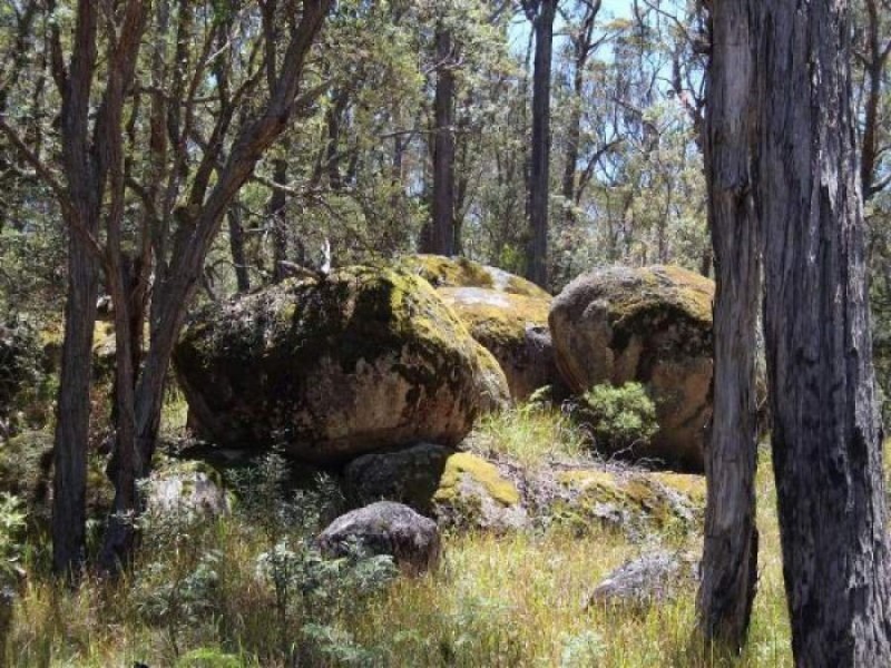 3203 Mount Lindesay Road, Tenterfield NSW 2372