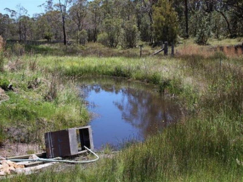 3203 Mount Lindesay Road, Tenterfield NSW 2372