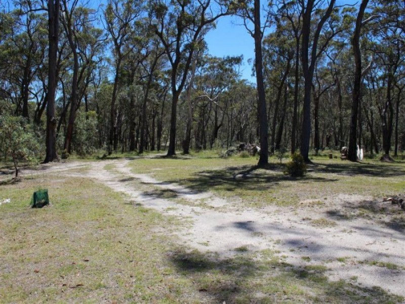 3203 Mount Lindesay Road, Tenterfield NSW 2372