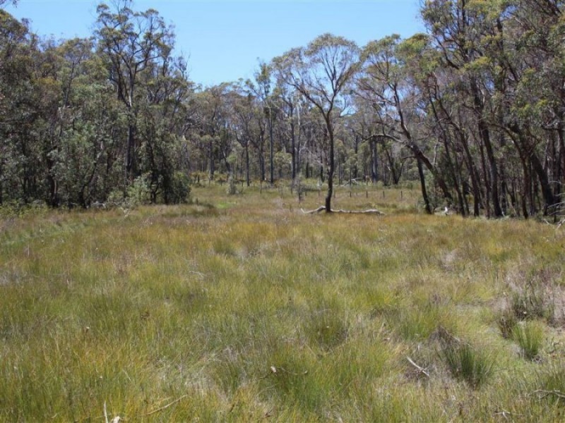 3203 Mount Lindesay Road, Tenterfield NSW 2372