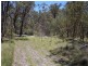 3203 Mount Lindesay Road, Tenterfield NSW 2372