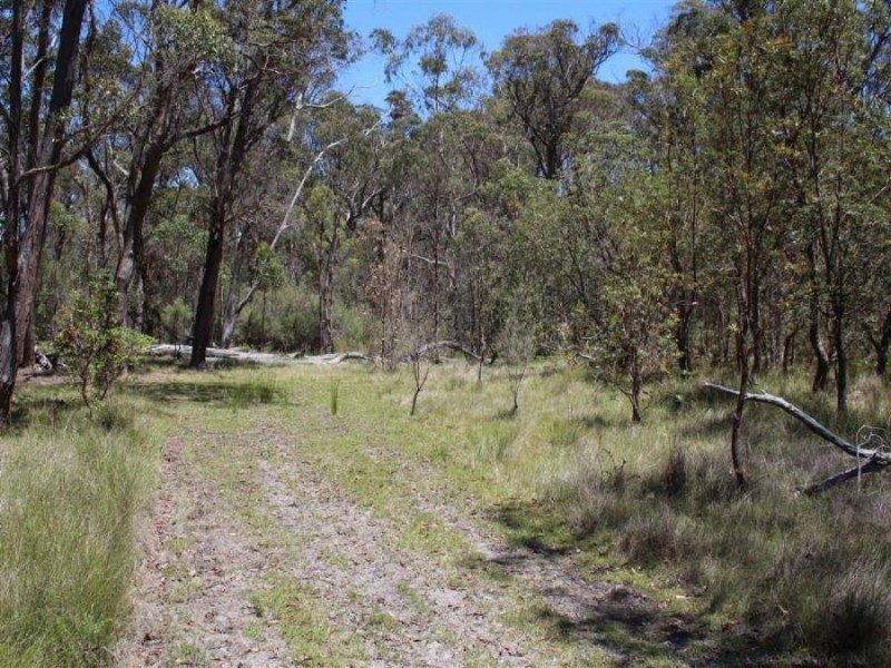 3203 Mount Lindesay Road, Tenterfield NSW 2372