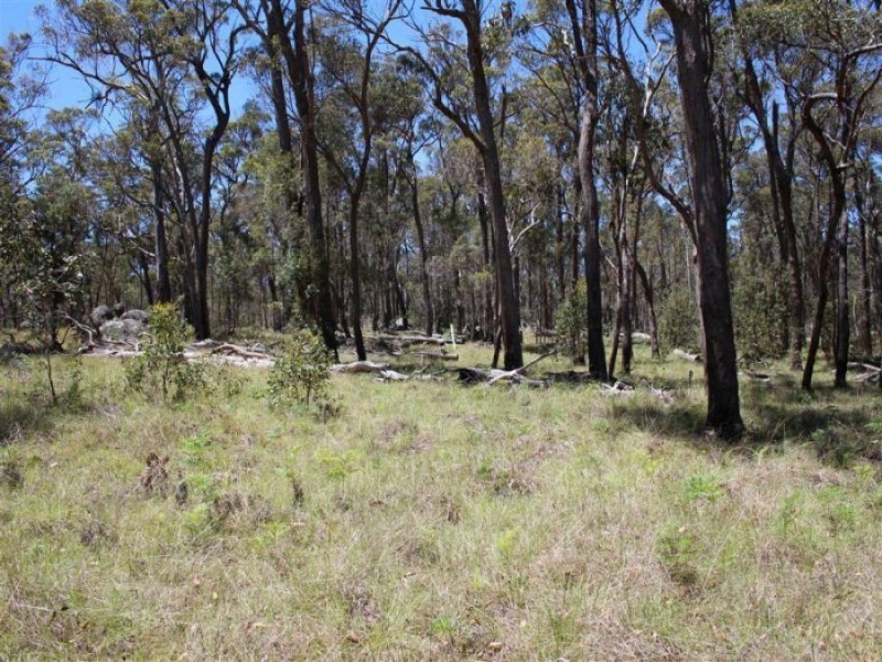 3203 Mount Lindesay Road, Tenterfield NSW 2372