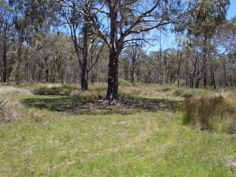 3203 Mount Lindesay Road, Tenterfield NSW 2372