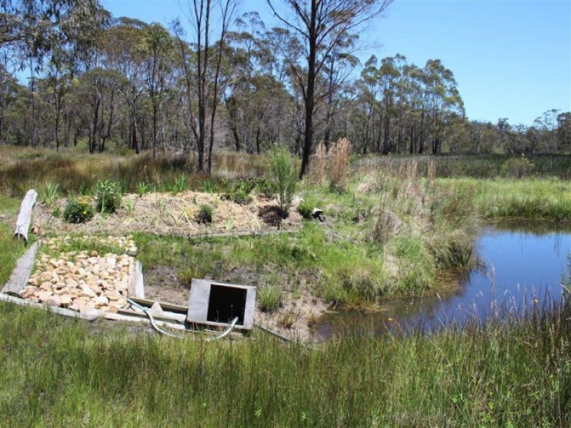 3203 Mount Lindesay Road, Tenterfield NSW 2372