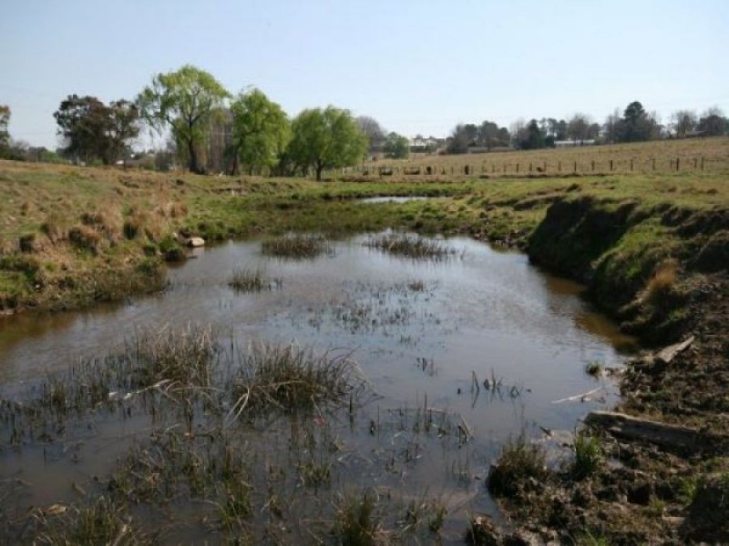 Lot 56 East Street, Tenterfield NSW 2372