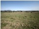 Lot 56 East Street, Tenterfield NSW 2372