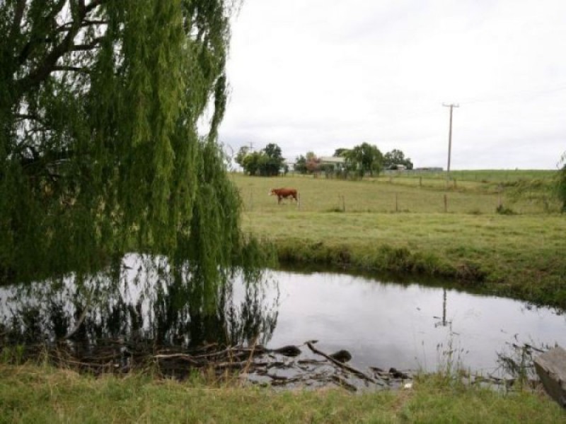 Lot 9 Wood Street, Tenterfield NSW 2372