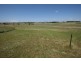 Lot 42 Black Swamp Road, Tenterfield NSW 2372