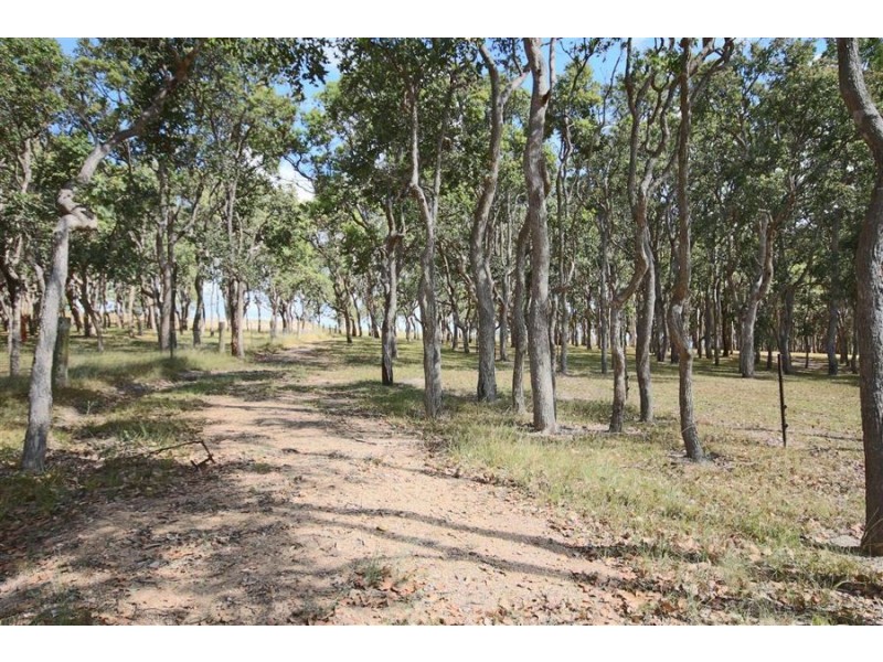Lot 42 Black Swamp Road, Tenterfield NSW 2372