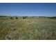 Lot 42 Black Swamp Road, Tenterfield NSW 2372