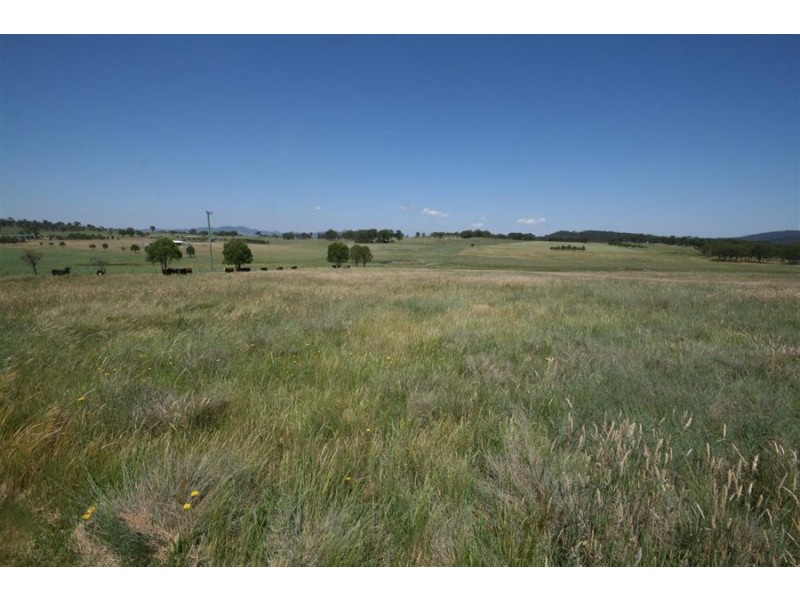 Lot 42 Black Swamp Road, Tenterfield NSW 2372
