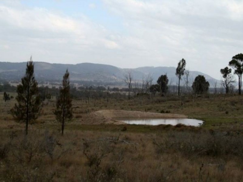 Lot 563 Tarban Road, Tenterfield NSW 2372
