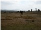Lot 563 Tarban Road, Tenterfield NSW 2372
