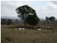Lot 563 Tarban Road, Tenterfield NSW 2372