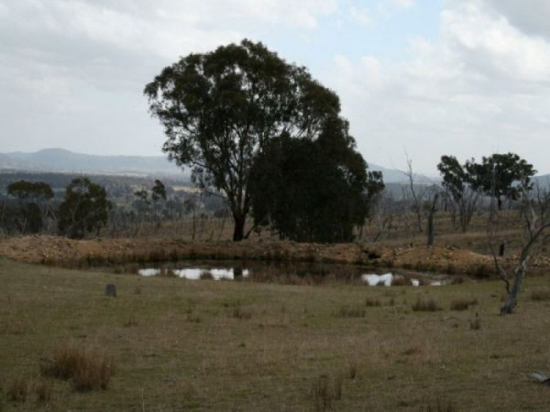 Lot 563 Tarban Road, Tenterfield NSW 2372