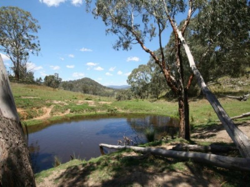 Tenterfield NSW 2372