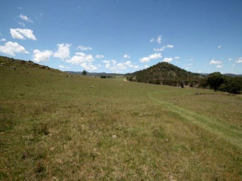 Tenterfield NSW 2372