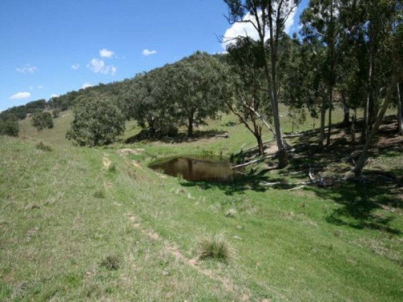 Tenterfield NSW 2372