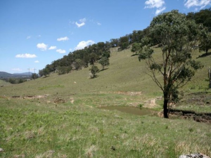 Tenterfield NSW 2372