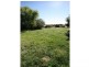 Lot 1 Duncan Street, Tenterfield NSW 2372